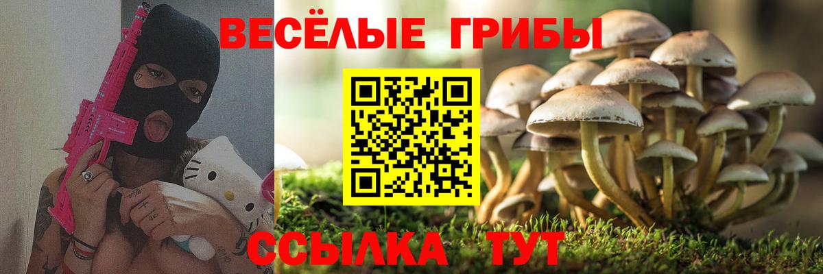 Псилоцибиновые грибы Cubensis  Вход с VPN  продажа наркотиков  Псилоцибиновые грибы MAGIC MUSHROOMS  Дмитров 